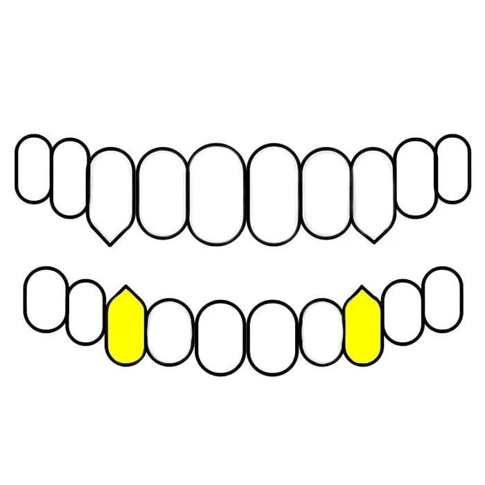 Bling Cartel Admin Rings Gold Plated over 925 Silver TwoTone Diamond Dust Custom Vampire Fangs Grillz