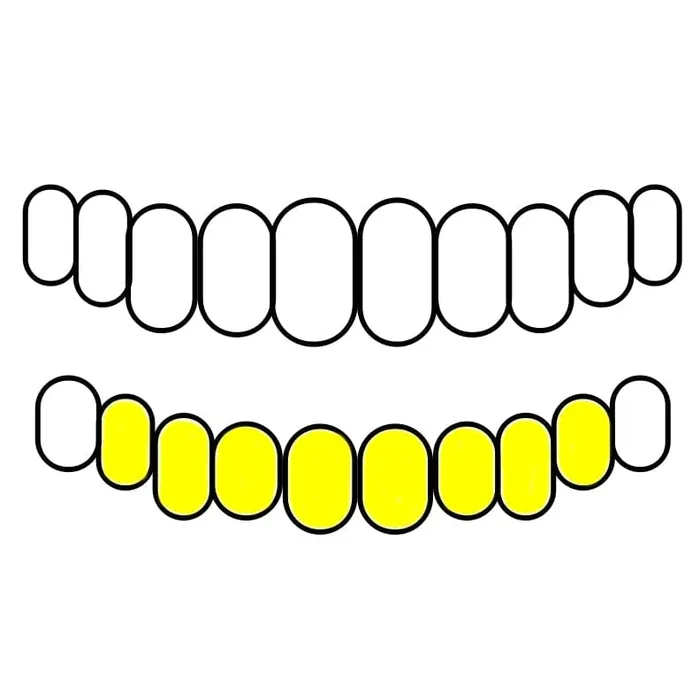 Bling Cartel Admin Rings Gold Plated over 925 Silver TwoTone Diamond Dust Starburst Custom Grillz