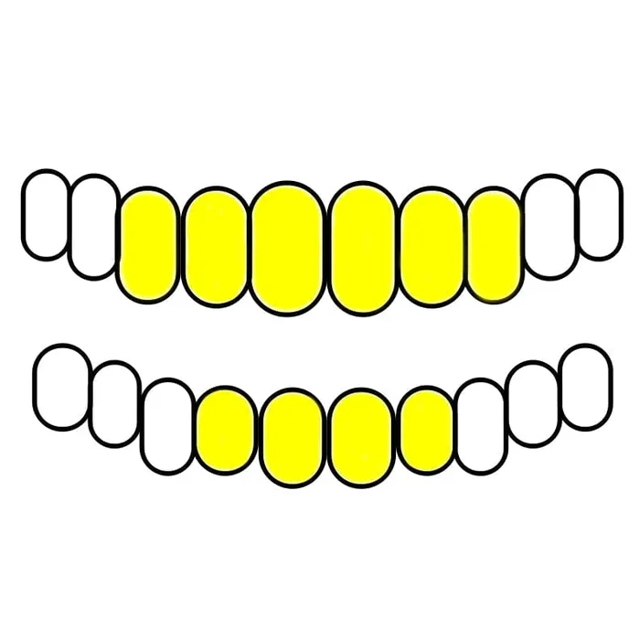 Bling Cartel Admin Rings Gold Plated over 925 Silver TwoTone Diamond Dust Starburst Custom Grillz