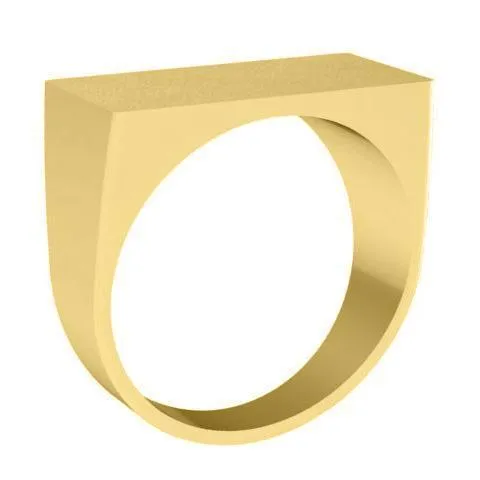 deBebians Rings Wide Rectangular Signet Ring for Men 24mm x 12mm deBebians Rings Wide Rectangular Signet Ring for Men 24mm x 12mm
