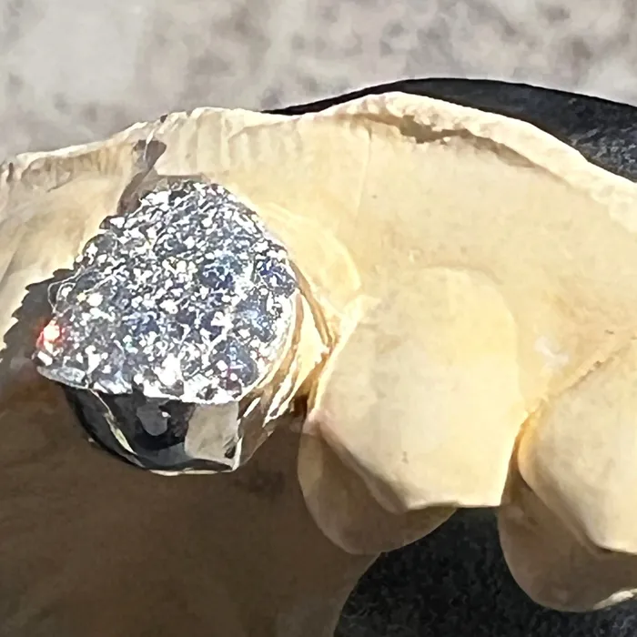 Rings Bling Cartel Admin 925 Sterling Silver CZ Single Cap Iced Bling Out Custom Tooth