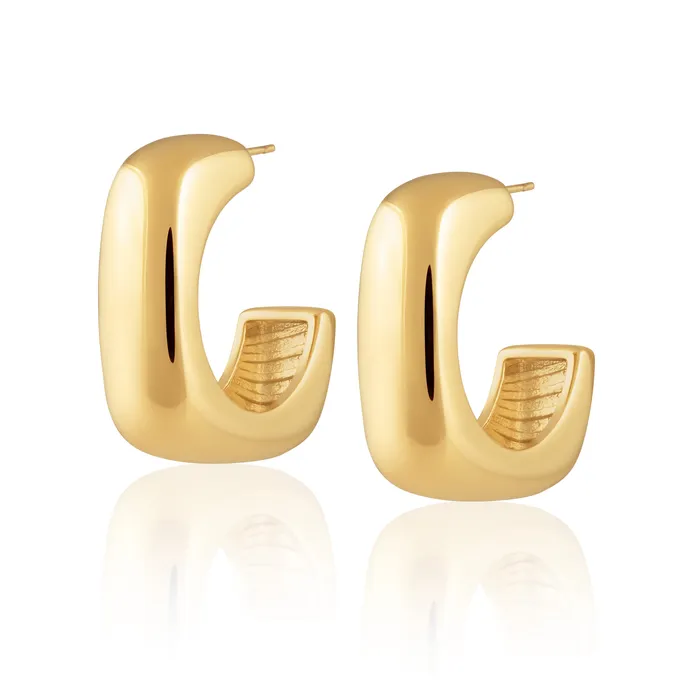 VVS Jewelry Earrings Daria Chunky Hoop Earrings