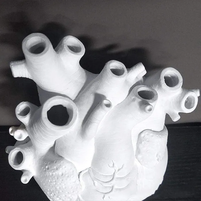 Anatomical Heart Vase wickedafstore Necklaces
