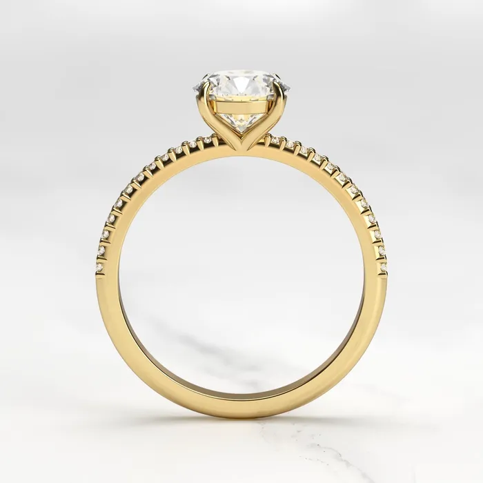 Capucinne Rings round moissanite ring with half eternity accent moissanites