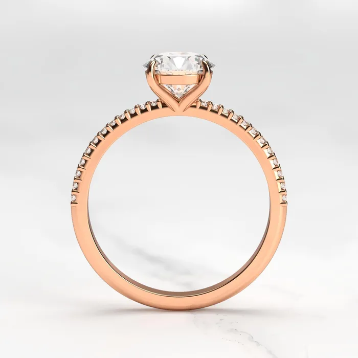 Capucinne Rings round moissanite ring with half eternity accent moissanites