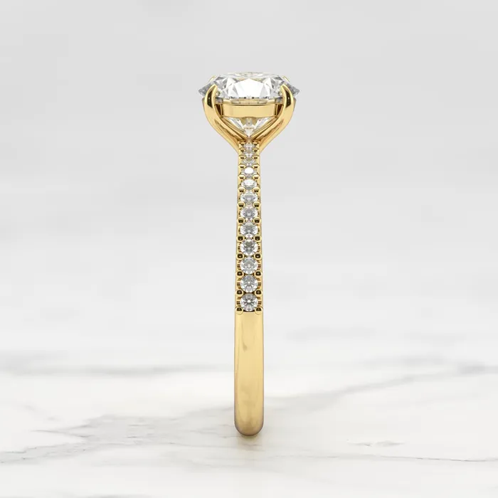 Capucinne Rings round moissanite ring with half eternity accent moissanites