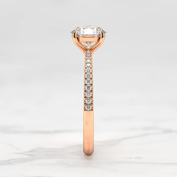 Capucinne Rings round moissanite ring with half eternity accent moissanites