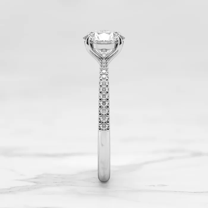 Capucinne Rings round moissanite ring with half eternity accent moissanites