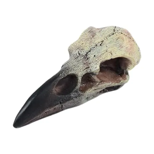 Dropshipped via Social Commerce Network Necklaces CALANDIS Halloween Raven Skull Decor Necklace Decor for Office Haunted House Festival 60mmx28mmx225mm Figurines Home Dacor Dropshipped via Social Commerce Network Necklaces CALANDIS Halloween Raven Skull Decor Necklace Decor for Office Haunted House Festival 60mmx28mmx225mm Figurines Home Dacor