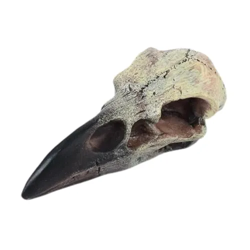 Dropshipped via Social Commerce Network Necklaces CALANDIS Halloween Raven Skull Decor Necklace Decor for Office Haunted House Festival 60mmx28mmx225mm Figurines Home Dacor