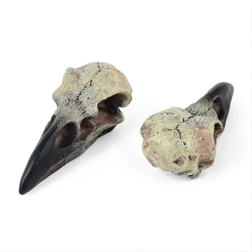 Dropshipped via Social Commerce Network Necklaces CALANDIS Halloween Raven Skull Decor Necklace Decor for Office Haunted House Festival 60mmx28mmx225mm Figurines Home Dacor