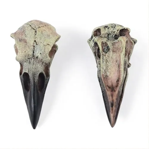 Dropshipped via Social Commerce Network Necklaces CALANDIS Halloween Raven Skull Decor Necklace Decor for Office Haunted House Festival 60mmx28mmx225mm Figurines Home Dacor