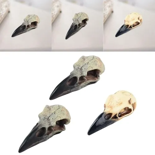 Dropshipped via Social Commerce Network Necklaces CALANDIS Halloween Raven Skull Decor Necklace Decor for Office Haunted House Festival 60mmx28mmx225mm Figurines Home Dacor