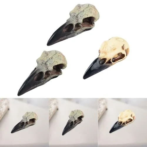 Dropshipped via Social Commerce Network Necklaces CALANDIS Halloween Raven Skull Decor Necklace Decor for Office Haunted House Festival 60mmx28mmx225mm Figurines Home Dacor