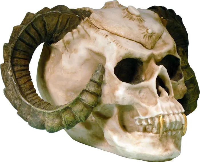 Rings Dropshipped via Social Commerce Network Human Skull Voodoo Skeleton Evil Demon Devil Ram Horn Vampire Ashtray Stash USA