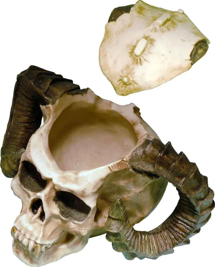 Rings Dropshipped via Social Commerce Network Human Skull Voodoo Skeleton Evil Demon Devil Ram Horn Vampire Ashtray Stash USA